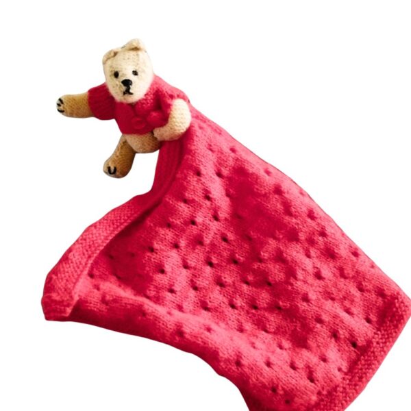 DouDou Osito Teddy - Imagen 2