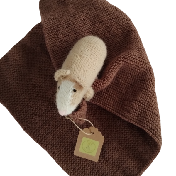 DouDou Conejito de indias - Imagen 3
